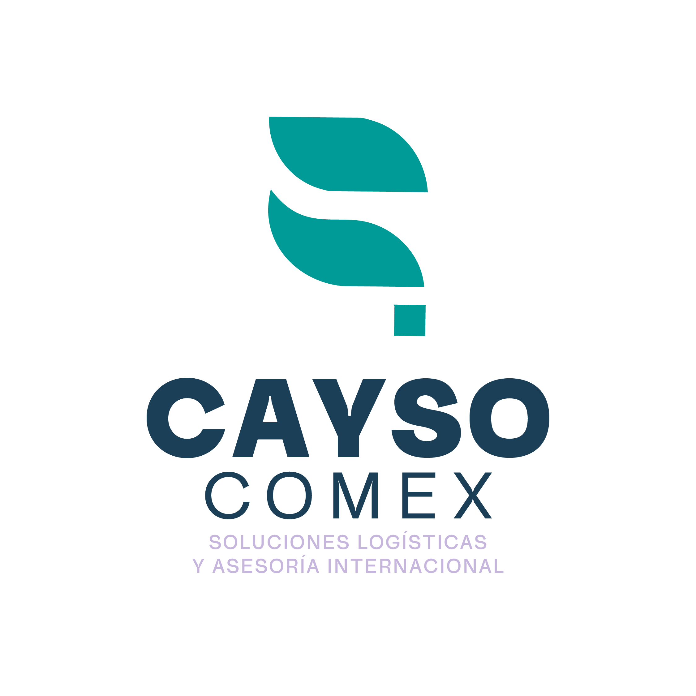 Cayso Comex
